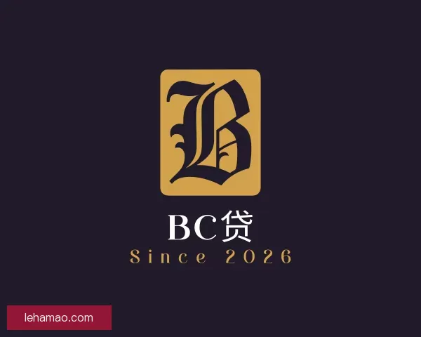 关于BC贷